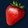 dam beavers slot strawberry symbol