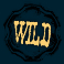 2 wild 2 die slot wild symbol