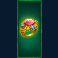 castle of fire slot ring symbol