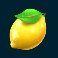7 gold fruits slot lemon symbol