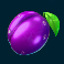 7 gold fruits slot plum symbol