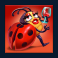 buggin slot ladybird symbol