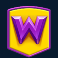 buggin slot random wild symbol