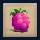 buggin slot raspberry symbol