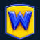 buggin slot removing wild symbol