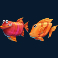 cowabunga dream drop slot red or orange fish symbol