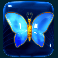 panda money slot butterfly symbol