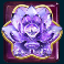 panda money slot purple flower symbol