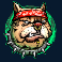 the big dawgs slot green dog symbol