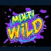 the big dawgs slot multi wild symbol
