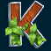 wild swarm 2 slot k symbol