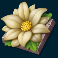 wild swarm 2 slot white flower symbol