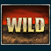 d day slot wild symbol