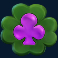 leprechaun joy slot club symbol