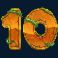 release the bison slot 10 symbol