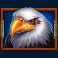 release the bison slot eagle symbol