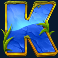 release the bison slot k symbol