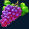 ripe rewards slot grapes symbol