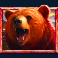 5 wild buffalo slot bear symbol