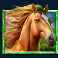 5 wild buffalo slot horse symbol