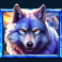 5 wild buffalo slot wolf symbol