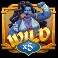 Mystery genie mystery wild 5x symbol