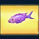 boat bonanza down under slot purple fish symbol