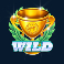 front runner odds on slot wild symbol