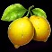 fruity treats leamon symbol