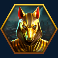 rise of pyramids slot anubis symbol