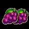 Cash Strike Hotstepper slot grapes symbol