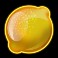 Fruit Flash slot lemon symbol