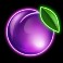 Fruit Flash slot plum symbol
