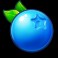 Fruit Smash slot Blueberry symbol