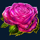 devilicious slot pink rose symbol