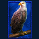buffalo king untamed megaways slot eagle symbol