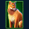 buffalo king untamed megaways slot large cat symbol