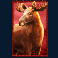 buffalo king untamed megaways slot moose symbol