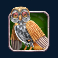 goblins bargain multimax slot owl symbol