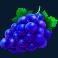 sweet bonanza 1000 slot grapes symbol