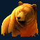wild survivor slot bear symbol