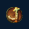 wild survivor slot j symbol