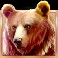 Buffalo Collector slot Bear symbol