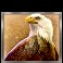 Buffalo Collector slot Eagle symbol