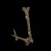 Beheaded slot J symbol