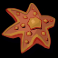 razor ways slot orange sea plant symbol
