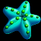 sunny stacks slot starfish symbol