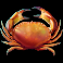 turtle paradise crab symbol