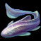 turtle paradise eel symbol