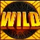 Mammoth slot Wild symbol